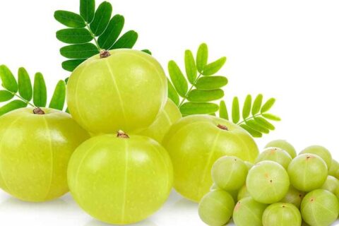 Benefits of Amla in Skin Care