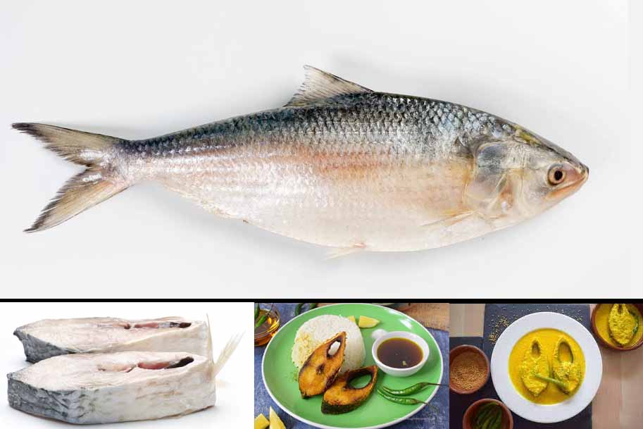 Hilsa Fish does not taste like before